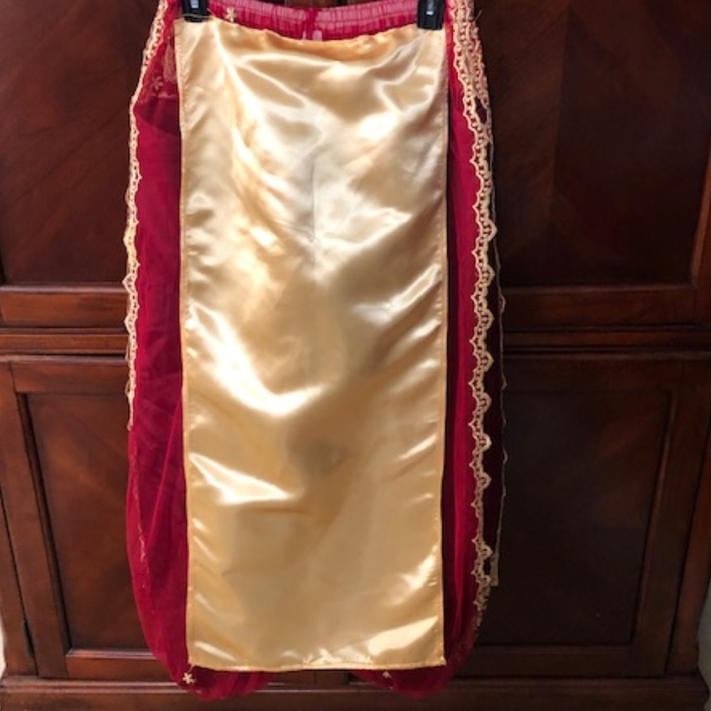 Beautiful Burgundy and Gold Pants
